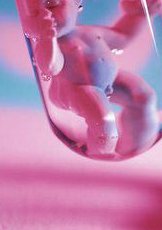 2026年从辽宁到海外做试管自由行的成功率高吗？