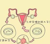 中国健康人可以做三代试管婴儿吗？中国健康人现在可以拨打三代试管婴儿吗？